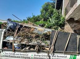 Best Construction Debris Removal  in Williamston, MI